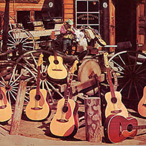 1969/1970 Fender Palomino  "Johnny Cash" Broomstick w/ Ultra Rare Factory Soundhole Pickup image 15
