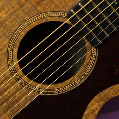 2020s Blackbird Savoy Parlor/Travel Composite/Ekoa Guitar (VIDEO! Fresh Setup, Ready to Go) image 7