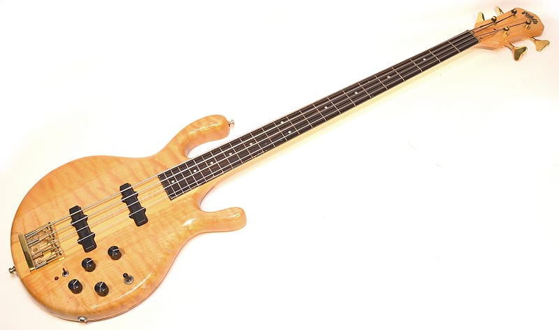 Pedulla "Buzz" Bass Fretless Mid 80's Professionally Set Up | Reverb