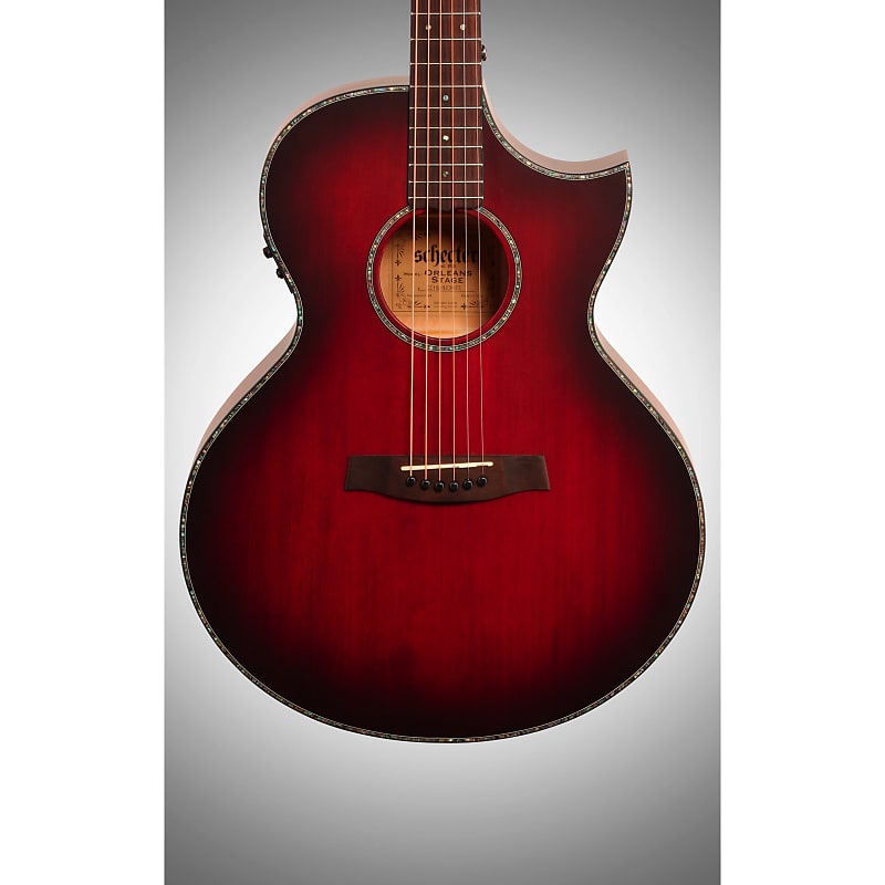 Schecter store acoustic electric