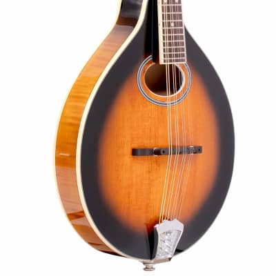 Gold Tone GM-50+ A-Style Solid Spruce Top Maple Neck 8-String Mandolin w/Gig Bag & Pickup image 2