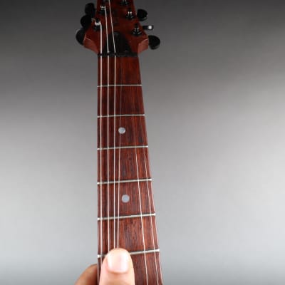 レビュー高評価商品 WARMOTH オーダー AXISタイプ レア ギター