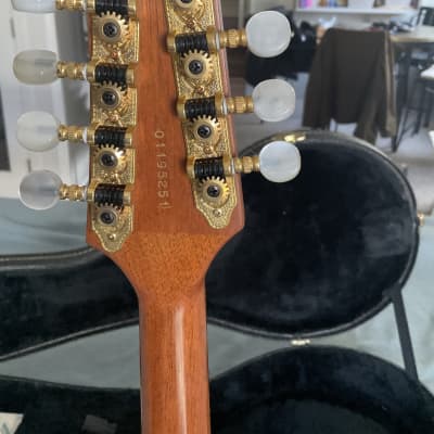 Godin A8 Electric Mandolin 2007 - natural image 4