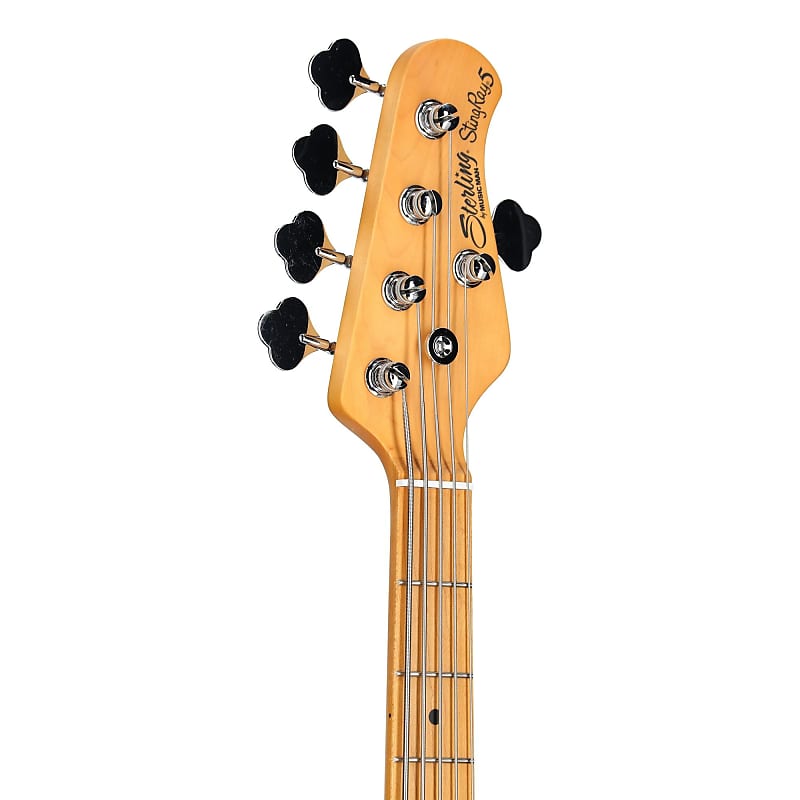 StingRay Classic 5 RAY25CA | Basses | Sterling by Music Man
