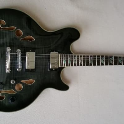 Fernandes Lexington Limited, ES-335 Style, See-thru black