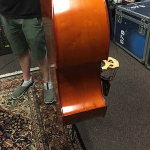David Gage Upright Bass Czech Ease Road Bass Carved C1