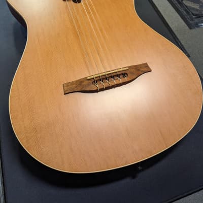 Godin Multiac Grand Concert Nylon image 1
