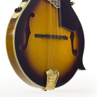 Ozark 'F' Model 2255E Electro Acoustic Scroll Mandolin, Sunburst Gloss image 2