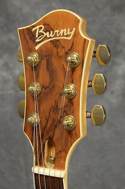 Fernandes/Burny MG-85X Hide X Japan Signature Model Cherry