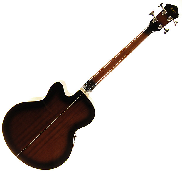 Ibanez aeb10e dvs hot sale
