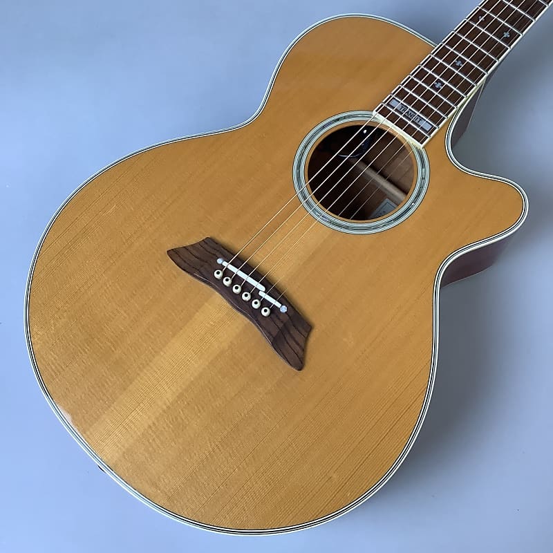 Takamine TRE110