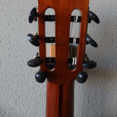 Brand New Francisco Navarro Cedar Top Concert Classical Guitar - 640 Scale image 8