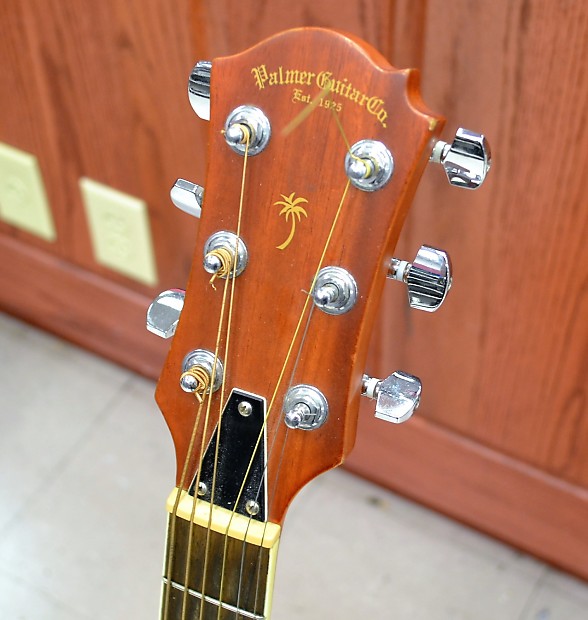 Palmer GDB660 Semi Acoustic Ovation Clone 6 String Guitar