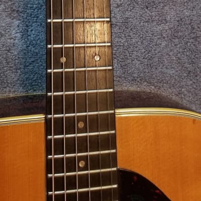 Elite/Takamine TW25 (special style) | Reverb