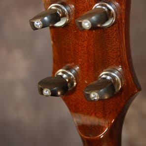 Gibson RB-175 Long Neck Pete Seeger 5 String Banjo Original Hardshell Case 1964 image 7