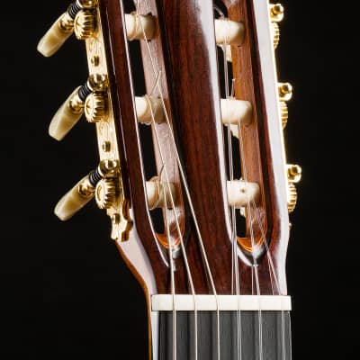 Graciliano Perez flamenco guitar “mixed earth” 2024 image 13