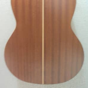 Kremona Artist Series Sofia SC-T Nylon String Classical Acoustic Guitar #9B image 4