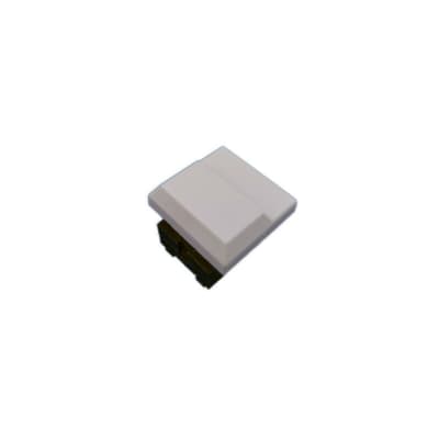 ARP - Pro DGX , OMNI II - New Momentary Switch White