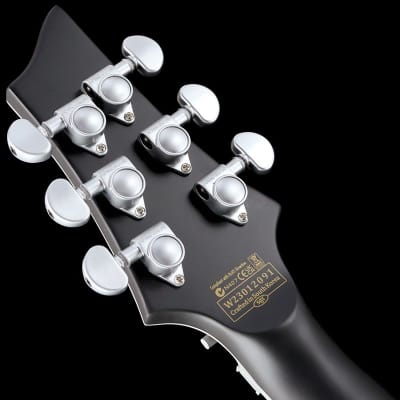 Schecter DAMIEN PLATINUM-6 FR [AD-DM-PTM-FR] (SBK) | Reverb