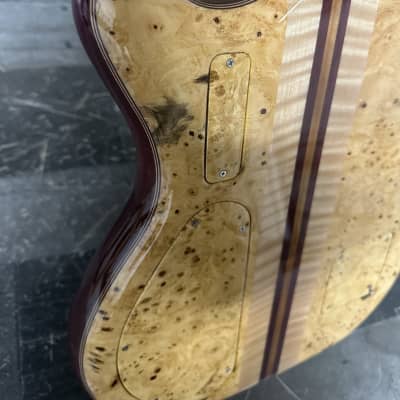 Alembic Further Brand New 2024 Buck Eye Burl With case! image 16