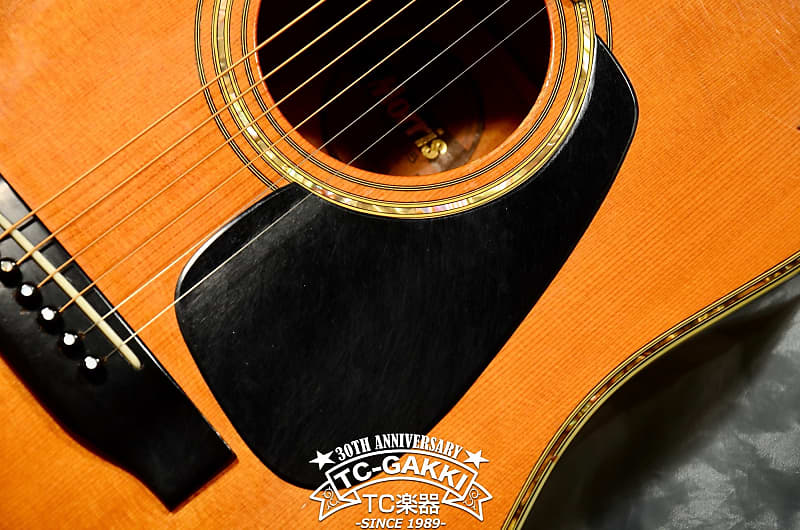 Morris TF-805 | Reverb