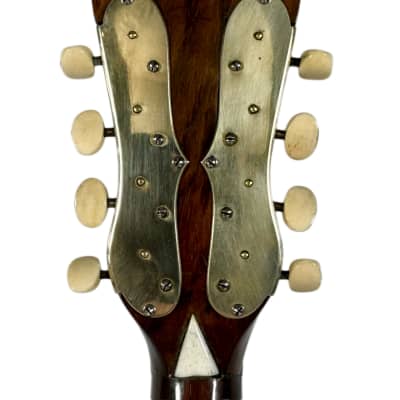 Pasquale Vinaccia Mandolin from 1883 image 12