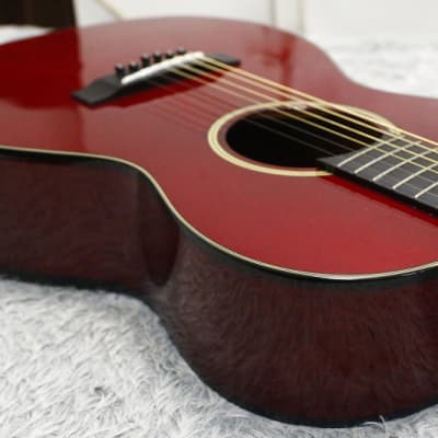 TAKAMINE T Series T-P2 See through Red PARLOR type body