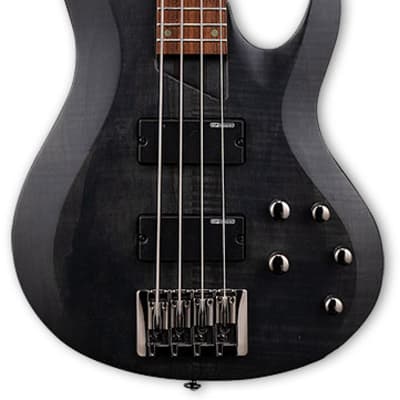 ESP LTD B-204SM B Series Bass Guitar, Spalted Maple Top, See Thru Black Satin image 2