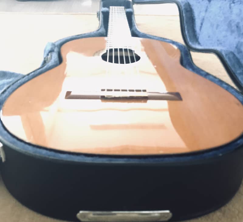 1986 Yukinobu Chai N606P Niibori Guitar | Reverb