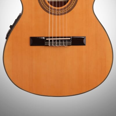 Ibanez GA5TCE Classical Cutaway Acoustic-Electric Guitar image 3