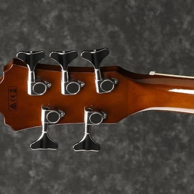 Ibanez AEB105E-NT Acoustic-Electric Bass image 2