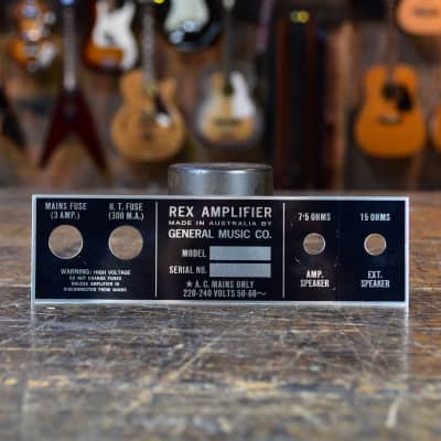 Rex Amplifier Backplate  70's for sale