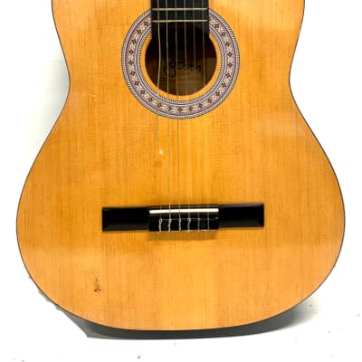 Burswood Guitar - Acoustic Esteban Spanish/Classical Guitar image 3