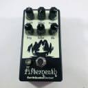 EarthQuaker Devices Afterneath Otherworldly Reverberation Machine V2 *Sustainably Shipped*