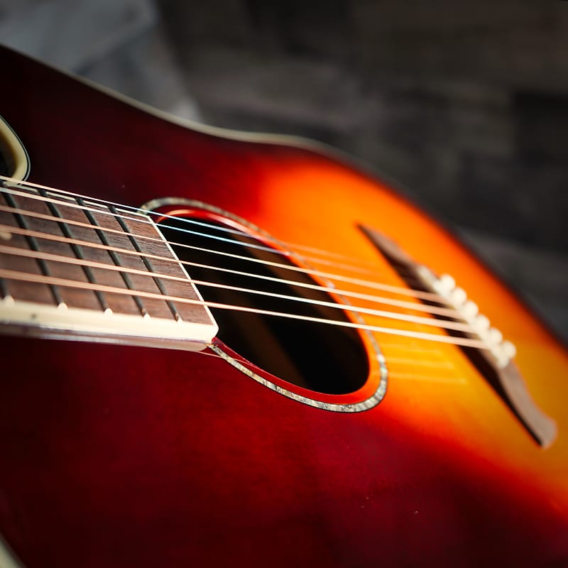 Tagima Vancouver Acoustic Guitar image 1