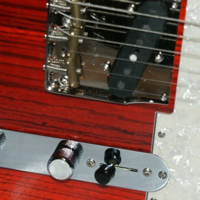 VZ Custom Guitars Trans Red Zebrawood Top T-Type w/Gig Bag image 3