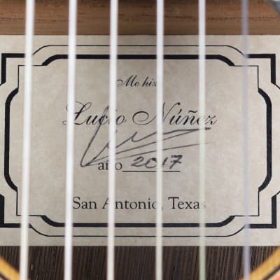 RARE Lucio Nuñez 10-String Classical Harp Guitar w/Cutaway, Arm Rest, Sound Port, Cedar/Cocobolo, TKL Hardshell Case image 17