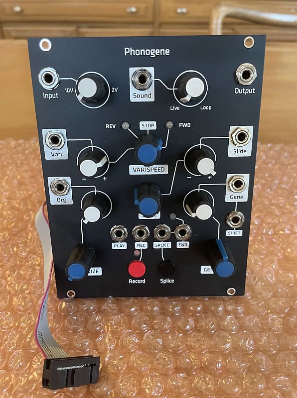 Make Noise Phonogene Module | Reverb