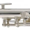 Stagg C Trumpet, w/ABS case
