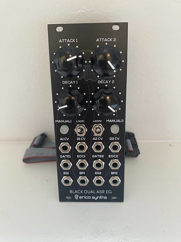 DTM・DAW Erica Synths Black Dual ASR EG Erica Black Stereo Delay 2 Effects Processor - Perfect Circuit