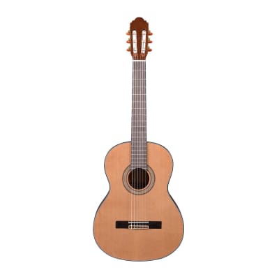 Artist HG39303 Classical Guitar with Truss Rod - Solid Cedar Top image 1