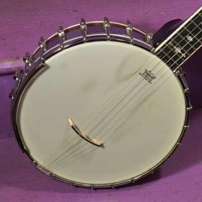 2022 Gold Tone OT-800LN Longneck 5-String Banjo (VIDEO! Fresh Setup, Ready) image 2