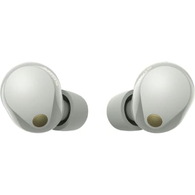 Sony Noise Canceling Truly Wireless Earbuds, Silver + Accessories + Warranty Bundle image 6