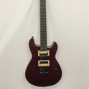 Fernandes Dragonfly Standard Electric Guitar - Black Cherry