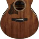 Ibanez AE AE 6str Left Handed Acoustic Guitar - Natural High Gloss AE245LNT