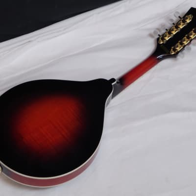 MICHAEL KELLY A-O A-style Oval acoustic MANDOLIN new - Antique Tobacco Burst image 4