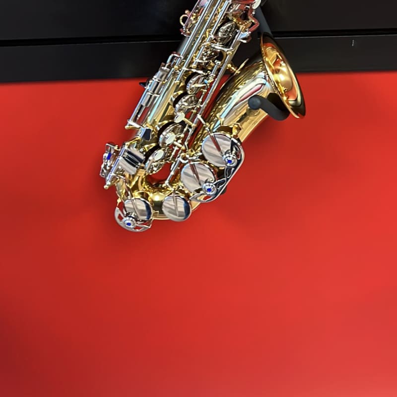 Student Alto Saxophone E Flat Gold Lacquer Alto Beginner Sax Full