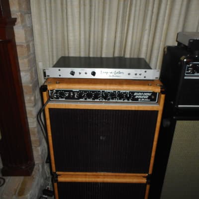 Bludotone Ripper Combo w/matching Closed back cab/ G12-65 and G12 -60 speakers5 Speakers/Cork cover and Loopalator image 5