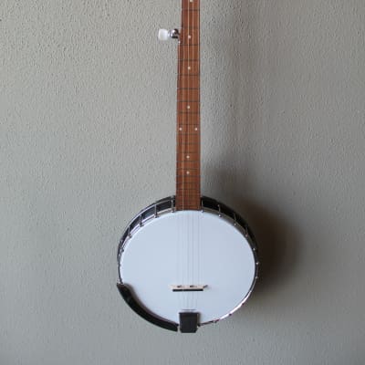 Brand New Rover RB-20 Open Back 5 String Banjo with Gig Bag for sale