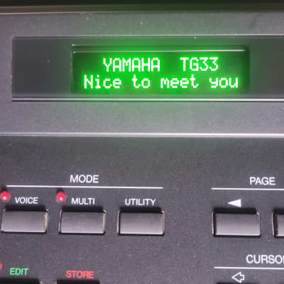 Yamaha TG33 Tone Generator 1990 - Black -Green Screen